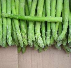 杰里姆-蘆筍種子圖片