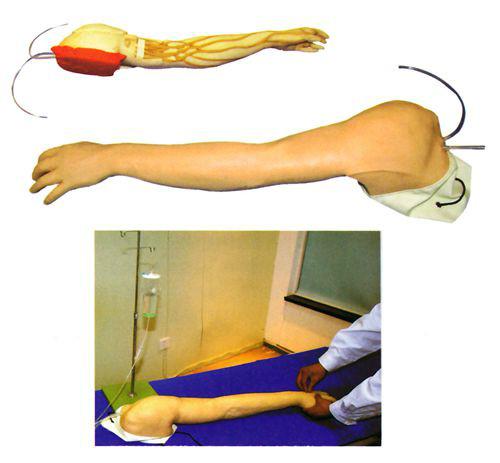 完整静脉穿刺及注射训练手臂模型图片