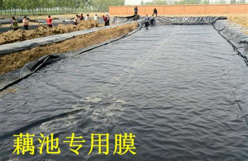 遼源鑫宇防滲土工膜圖片