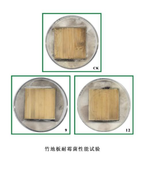 供應涂料防霉檢測價格，防霉檢測，涂料防霉