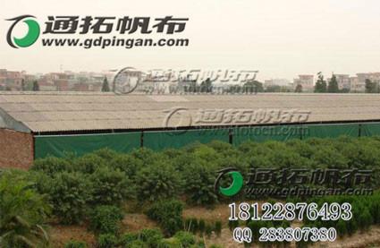 供應(yīng)豬場(chǎng)防風(fēng)耐磨帆布帆布價(jià)格蘇州篷布