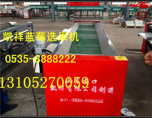 供應(yīng)藍莓選果機/藍莓撿果機/哪家藍莓選果機質(zhì)量好/藍莓篩選機制造廠
