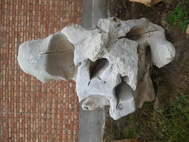 供應(yīng)河北園林奇石廠家，河北園林奇石廠家價(jià)格，河北園林奇石廠家直銷