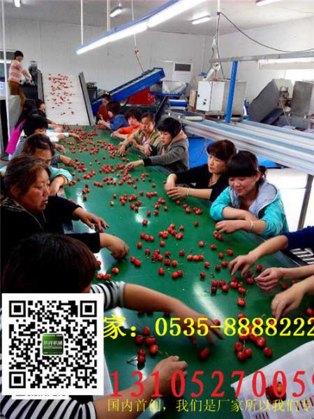 供應(yīng)櫻桃選果機(jī)櫻桃無(wú)損傷直徑分級(jí)機(jī)