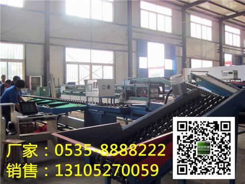 供應(yīng)蘋果柑桔獼猴桃電腦控制選果機(jī)，電子選果機(jī)