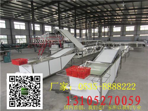 供應(yīng)櫻桃選果機(jī)櫻桃無(wú)損傷直徑分級(jí)機(jī)