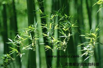 葒草苷98價格 生產(chǎn)廠家 哪里賣 CAS：28608-75-5