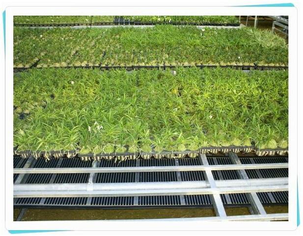 碳纖維電熱膜廠家直銷