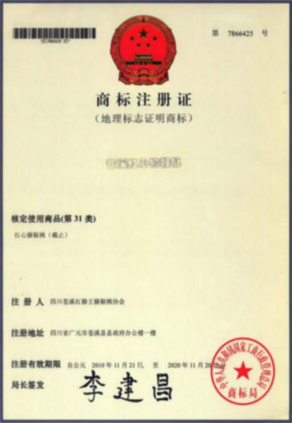 供應(yīng)*投資價值項目回報*項目苗木蒼溪原產(chǎn)地紅心獼猴桃苗