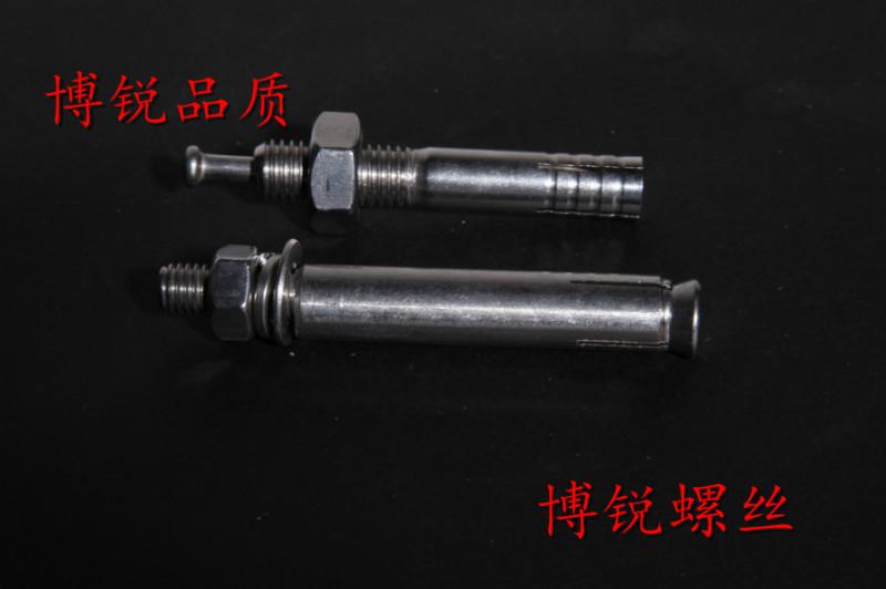 供應(yīng)廣州304不銹鋼膨脹螺絲