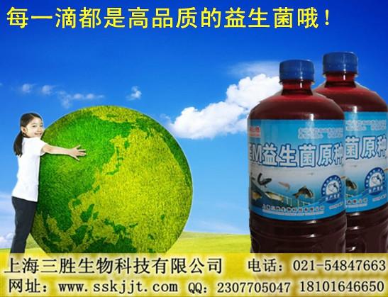 小区景观人工湖泊EM菌水质净化图片