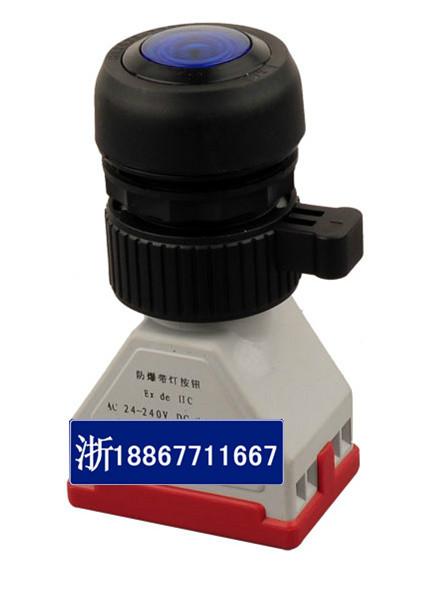 CH0812-74B2藍(lán)色防爆信號(hào)燈帶按鈕圖片