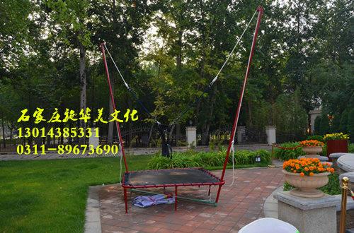 憤怒小鳥圖片/憤怒小鳥樣板圖 (3)