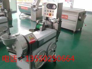 小型多功能切丁機圖片