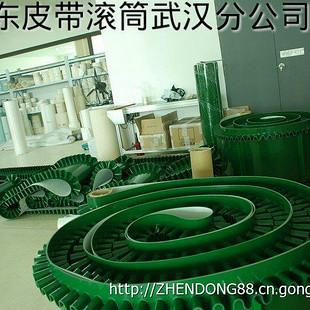 輕型輸送帶圖片/輕型輸送帶樣板圖 (3)