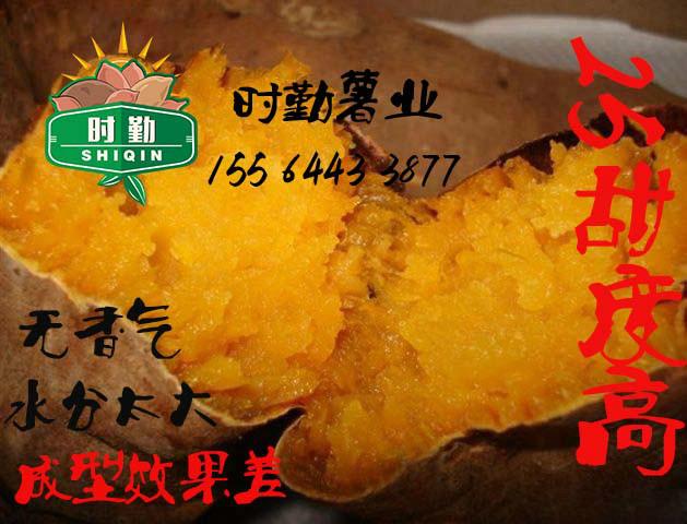 德州市香薯厂家北京香薯批发  北京蜜薯批发 北京烟薯25批发