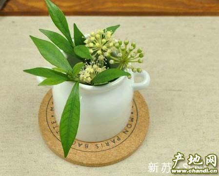 供應(yīng)粘度高的水松玻璃墊*廠家_軟木玻璃墊_粘度極好