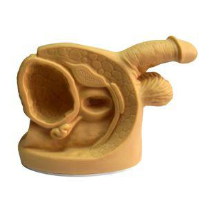 供應(yīng)人體急救復(fù)蘇模型全自動(dòng)復(fù)蘇模擬人