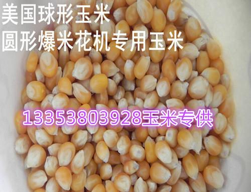 供應(yīng)新鄭球形爆米花機多少錢一臺