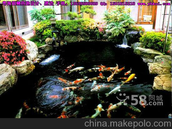 供應什么亞克力什么魚缸什么服務