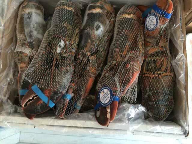 供應(yīng)特價加拿大生凍波士頓龍蝦