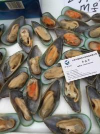 新西蘭圖片/新西蘭樣板圖 (2)