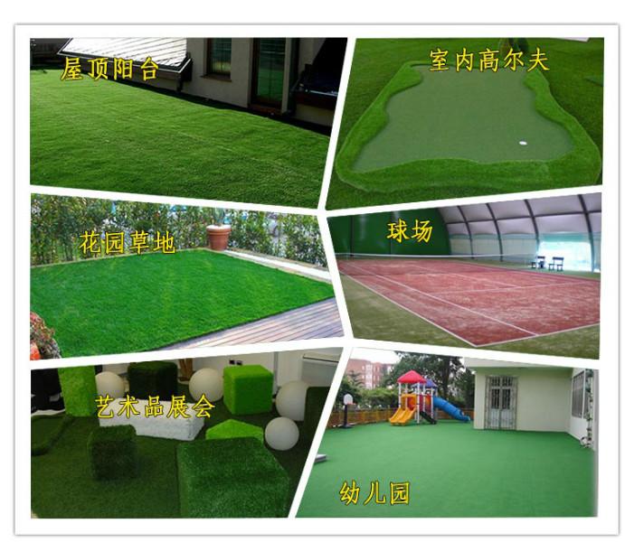假草坪圖片
