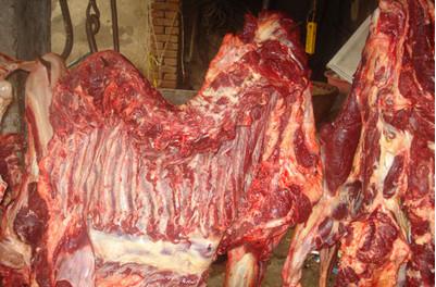 供應(yīng)上海驢肉購買/上海驢肉訂購/上海驢肉訂購價(jià)格