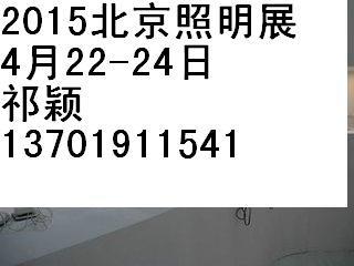 2015照明展2015北京上海照明展图片