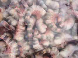 供應特價越南黑虎蝦尾