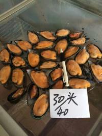 進(jìn)口智利藍(lán)口貽貝圖片