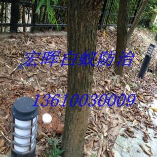 供應(yīng)新華街滅白蟻公司，新華街滅白蟻電話，新華街滅白蟻價錢