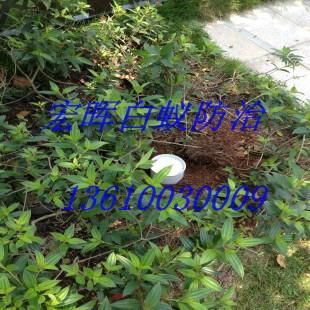 供應(yīng)新華街滅白蟻公司，新華街滅白蟻電話，新華街滅白蟻價錢