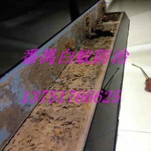 供應(yīng)東環(huán)街滅白蟻企業(yè)，東環(huán)街滅白蟻價(jià)錢，東環(huán)街滅白蟻報(bào)價(jià)