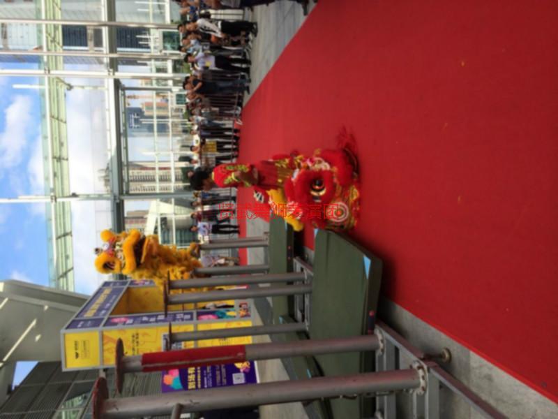 廣東最專業(yè)的春節(jié)舞獅表演公司圖片