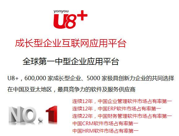 供应大连用友U8U9实施定制开发，ERP