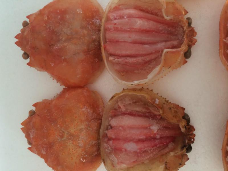 供應(yīng)進(jìn)口朝鮮雪蟹寶