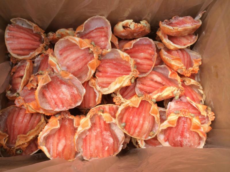 供應(yīng)進(jìn)口朝鮮雪蟹寶