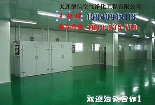 供應(yīng)大連車(chē)間凈化工程建設(shè)_德信凈化