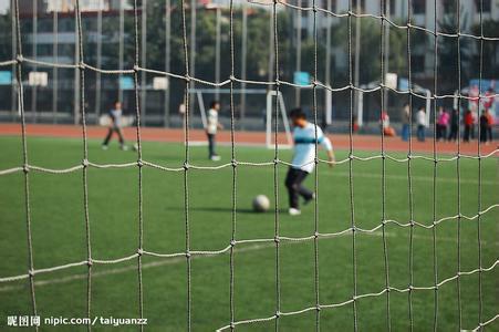 天然真草足球場(chǎng)施工建設(shè)|天津天然草足球場(chǎng)地鋪設(shè)企業(yè)（天津銳虎公司）