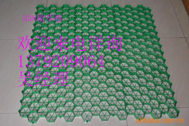 贛州塑料植草格圖片