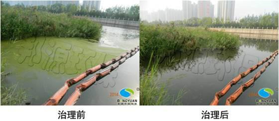 供應(yīng)水華防治邦源環(huán)保應(yīng)