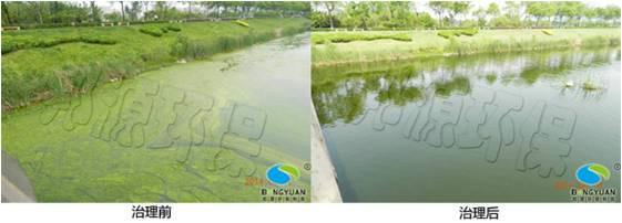供應(yīng)水華防治邦源環(huán)保應(yīng)