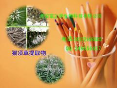 供应猫须草提取物/西安富正源生物报价图片