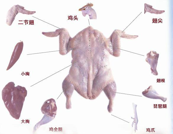 天津批發(fā)進(jìn)口雞翅圖片