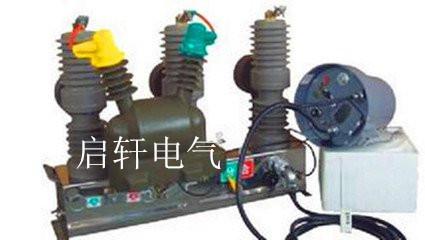 供應(yīng)ZW32-12F/630帶看門狗智能分界開(kāi)