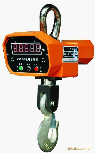 供應(yīng)江蘇電子吊秤供應(yīng)商