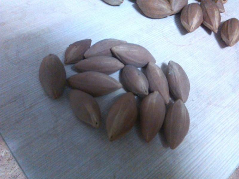 廣東橄欖核工藝原料批發(fā)，橄欖核工藝原料，橄欖核工藝原料價(jià)格