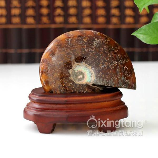 供應家居*擺件*天然玉化螺送禮