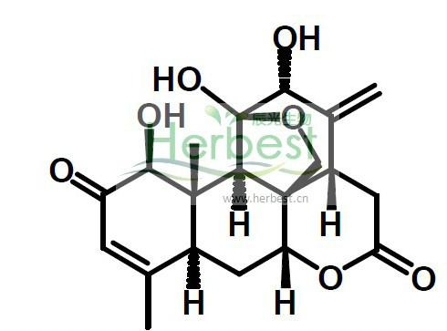 供應(yīng)臭椿苦酮臭椿酮Ailanthone981-15-7
